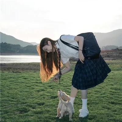 一条叫王子的狗