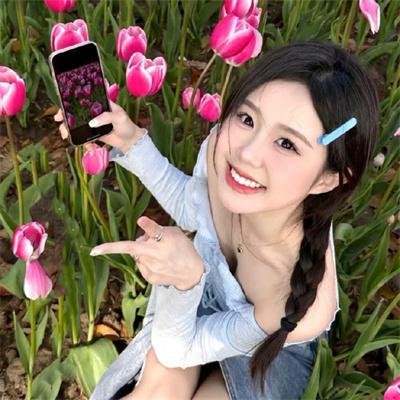 摇滚藏獒